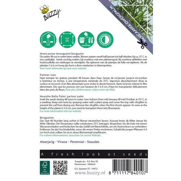 Mexicaanse Dwergpalm - Chamaedorea Elegans 4 Mexicaanse Dwergpalm - Chamaedorea Elegans - Afbeelding 2