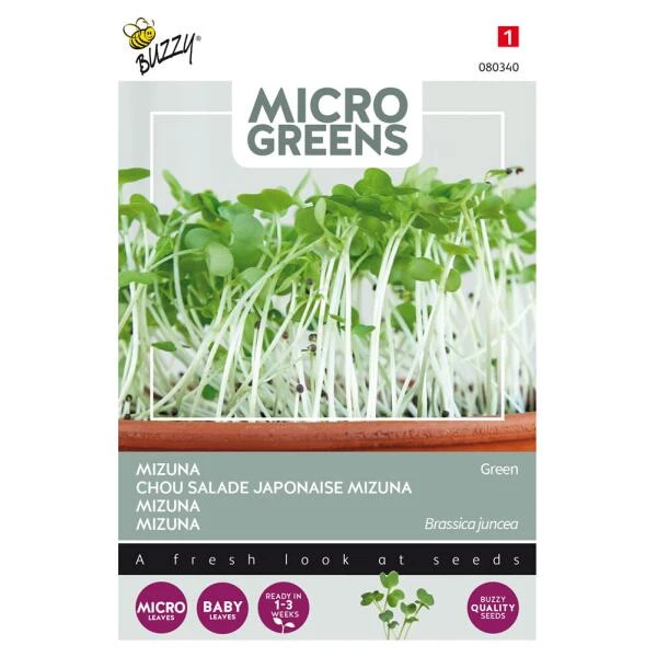 Microgreens Mizuna Green 3 Microgreens Mizuna Green