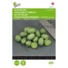 Muismeloen, Cucamelon - Melothria Scabra 2 Muismeloen, Cucamelon - Melothria Scabra -Zaden Voor Tuin muismeloen cucamelon melothria scabra 1646840382 1514 600