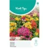 Nemesia Carnaval -Zaden Voor Tuin nemesia carnaval 1646840363 1124 600
