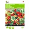 Oost-Indische Kers Jewel Of Africa - Tropaeolum Majus -Zaden Voor Tuin oostindische kers jewel of africa tropaeolum majus 1646840323 263 600