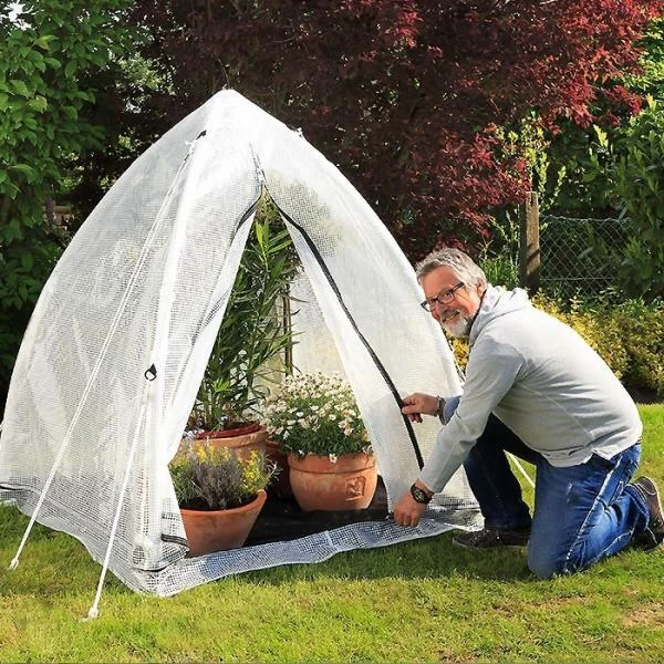 Overwinteringskas M - 130 × 130 × 150 Cm 4 Overwinteringskas M - 130 × 130 × 150 Cm - Afbeelding 2