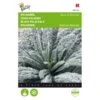 Palmkool Nero Di Toscana -Zaden Voor Tuin palmkool nero di toscana 1646840382 1510 600