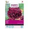 Papaver Black Paeony -Zaden Voor Tuin papaver black paeony 1646840389 1612 600