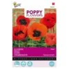 Papaver Oriëntaalse (Poppies) -Zaden Voor Tuin papaver orintaalse poppies 1646840341 659 600