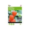 Physalis Alkekengi (oranje Lampionnetjes) -Zaden Voor Tuin physalis alkekengi oranje lampionnetjes 1646840337 557 600