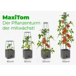 Plantentoren Maxitom Met Waterreservoir - Antraciet -Zaden Voor Tuin plantentoren maxitom antraciet 1677571236 4 600
