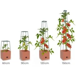 Plantentoren Maxitom Met Waterreservoir - Terracotta -Zaden Voor Tuin plantentoren maxitom terracotta 1680165024 1 600