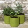 Plantzakken 5 Liter Vigoroot - Set Van 3 Stuks -Zaden Voor Tuin plantzakken 5 liter vigoroot 1487757618 0 600