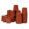 Kweekpotjes Rond Kunststof - 6 Cm - Set Van 40 Stuks -Zaden Voor Tuin plastic potjes 6 cm 1484055450 1 600