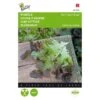 Pluksla Rode Eikenblad - Lactuca Sativa 2 Pluksla Rode Eikenblad - Lactuca Sativa -Zaden Voor Tuin pluksla rode eikenblad lactuca sativa 1646840320 195 600