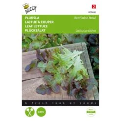 Pluksla Rode Eikenblad - Lactuca Sativa