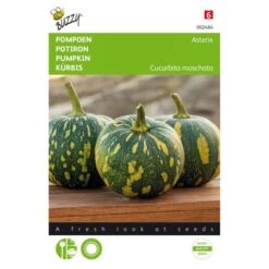 Pompoen Asterix (Panterprint)