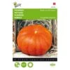 Pompoen Rode Van Etampes - Cucurbita Pepo -Zaden Voor Tuin pompoen rode van etampes cucurbita pepo 1646840317 139 600