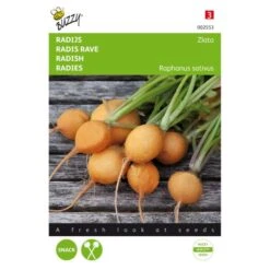 Radijs Zlata - Gele Radijs