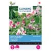 Reukerwt Unwins Striped - Lathyrus (Climbers) -Zaden Voor Tuin reukerwt unwins striped lathyrus climbers 1646840341 649 600