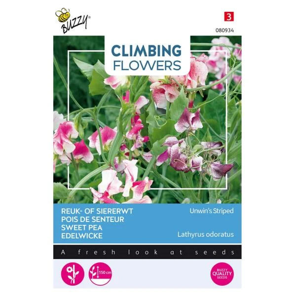 Reukerwt Unwins Striped - Lathyrus (Climbers) 3 Reukerwt Unwins Striped - Lathyrus (Climbers)