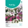 Scheefbloem Mix - Iberis Umbellata -Zaden Voor Tuin scheefbloem mix iberis umbellata 1646840362 1098 600
