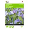 Slangenkruid Blue Bedder - Echium Plantagineum -Zaden Voor Tuin slangenkruid blue bedder echium plantagineum 1646840327 349 600