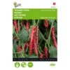 Spaanse Peper Cayenna - Capsicum Annuum -Zaden Voor Tuin spaanse peper cayenna capsicum annuum 1646840317 131 600