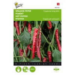 Spaanse Peper Cayenna - Capsicum Annuum