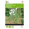 Stamsnijbonen (Admires Origineel 30 G) -Zaden Voor Tuin stamsnijbonen admires origineel 30 g 1646840342 667 600