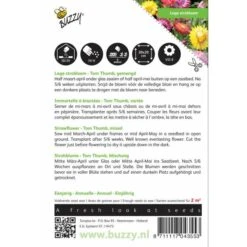 Strobloem - Helichrysum Bracteatum -Zaden Voor Tuin strobloem helichrysum bracteatum 1646840328 372 600