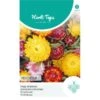Strobloem Mix - Helichrisum Bracteatum -Zaden Voor Tuin strobloem mix helichrisum bracteatum 1646840362 1092 600