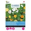 Suzanne Met De Mooie Ogen - Thunbergia Alata (klimmer) -Zaden Voor Tuin suzanne met de mooie ogen thunbergia alata klimmer 1646840343 681 600
