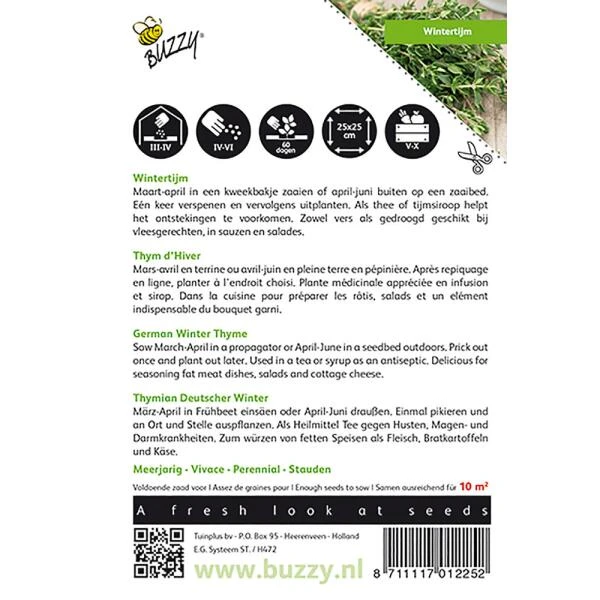 Tijm (wintertijm) - Thymus Vulgaris 4 Tijm (wintertijm) - Thymus Vulgaris - Afbeelding 2