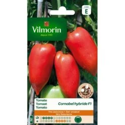 Tomaat Cornabel F1