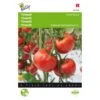 Tomaten St. Pierre - Lycopersicon Esculentum -Zaden Voor Tuin tomaten st pierre lycopersicon esculentum 1646840322 245 600