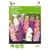 Valse Ridderspoor - Delphinium Ajacis -Zaden Voor Tuin valse ridderspoor delphinium ajacis 1646840326 343 600