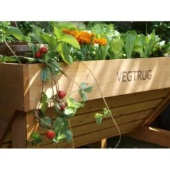 Vegtrug Verhoogde Kweektafel - 1 × 0,8 × 0,8 M -Zaden Voor Tuin vegtrug 1 m 1484054491 4 600