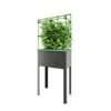 Verhoogd Kweekbak City Jungle Heidelberg Met Klimframe -Zaden Voor Tuin verhoogd plantenbed city jungle heidelberg 1677506551 1 600