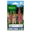 Vingerhoedskruid Digitalis Excelsior Gemengd - Digitalis Purpurea -Zaden Voor Tuin vingerhoedskruid digitalis excelsior gemengd digitalis purpurea 1646839548 243 600