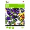 Viola Wittrockiana Zwitserse Reuzen -Zaden Voor Tuin viola wittrockiana zwitserse reuzen 1646840335 517 600