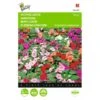 Vlijtig Liesje Nana Baby - Impatiens Walleriana -Zaden Voor Tuin vlijtig liesje nana baby impatiens walleriana 1646840328 375 600