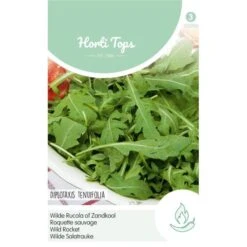 Wilde Rucola Of Zandkool - Diplotaxis Erucoïdes