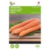 Wortelen Berlikumer 2 - Daucus Carota -Zaden Voor Tuin wortelen berlikumer 2 daucus carota 1646840323 271 600