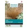 Zegge Bronco - Carex Comans -Zaden Voor Tuin zegge bronco carex comans 1646840390 1648 600