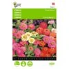 Zinnia Thumbelina Mix - Zinnia Elegans -Zaden Voor Tuin zinnia thumbelina mix zinnia elegans 1646840333 471 600