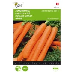 Zomerwortel Amsterdamse Bak 2