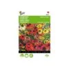 Zonnehoed - Rudbeckia Cheyenne Spirit -Zaden Voor Tuin zonnehoed rudbeckia cheyenne spirit 1646840392 1680 600