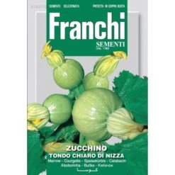 Zucchino Tondo Chiaro Di Nizza - Courgette De Nice Rond